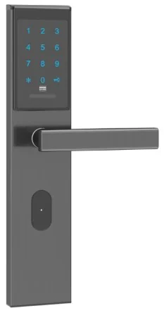 2031Password TTLock Security Door Keypad Lock Product