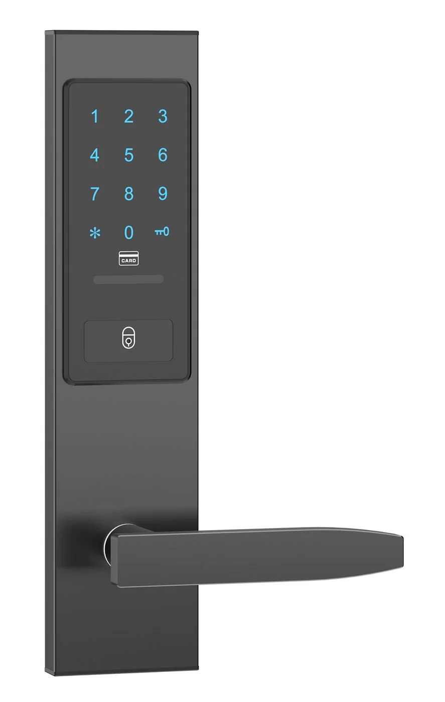 2037Password TTLock Hotel Keypad Lock Product