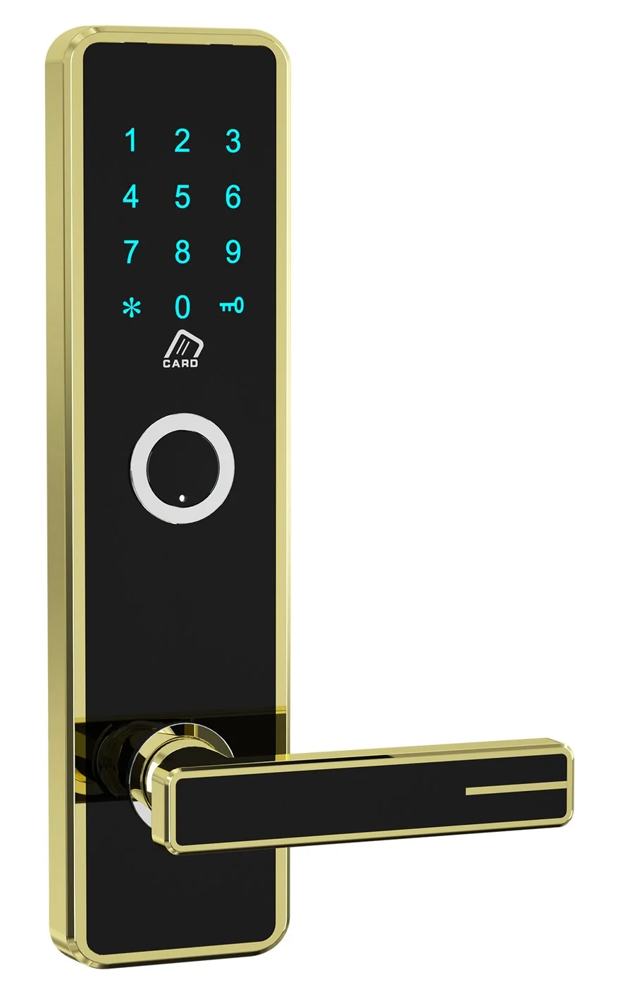 618Password TTLock Hotel Keypad Lock 2 Product